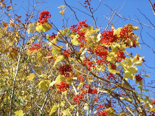 FOTO: RAINER BRESSLEIN