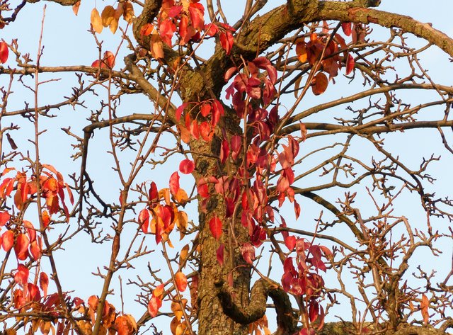 FOTO: RAINER BRESSLEIN