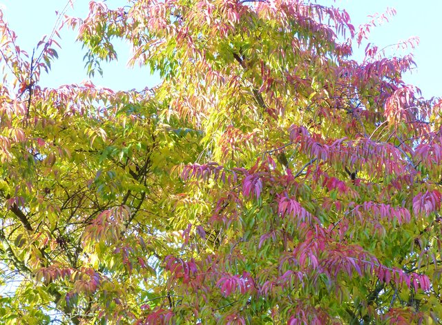 FOTO: RAINER BRESSLEIN