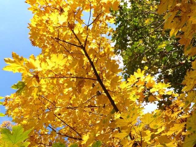 FOTO: RAINER BRESSLEIN