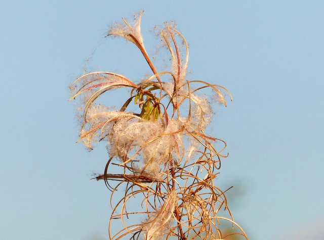 FOTO: RAINER BRESSLEIN