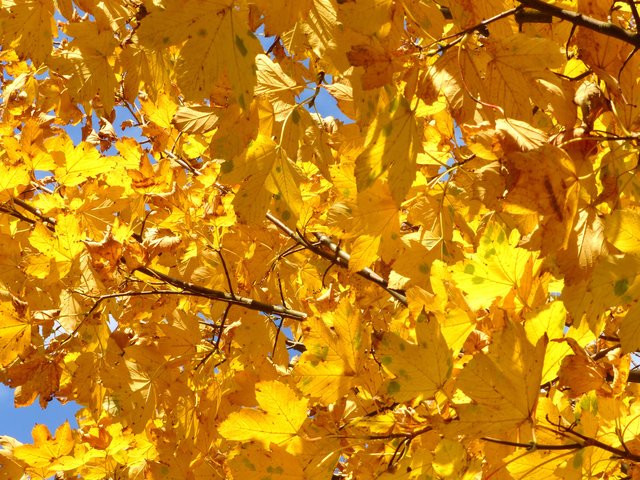 FOTO: RAINER BRESSLEIN