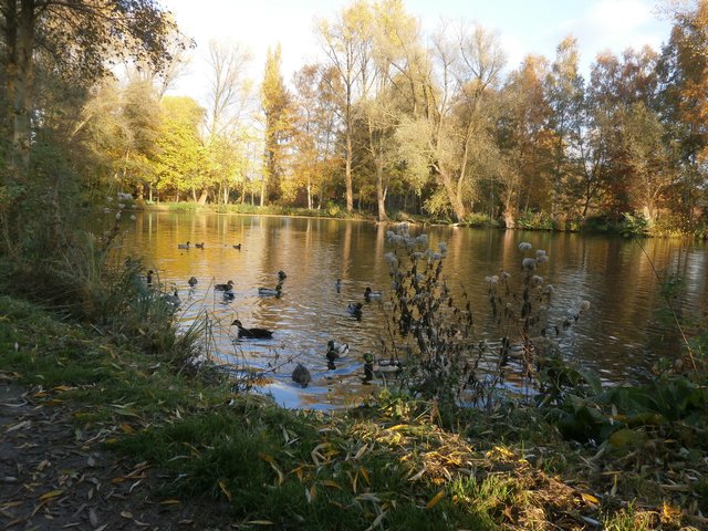 Oberer Mühlenteich, andere Perspektive