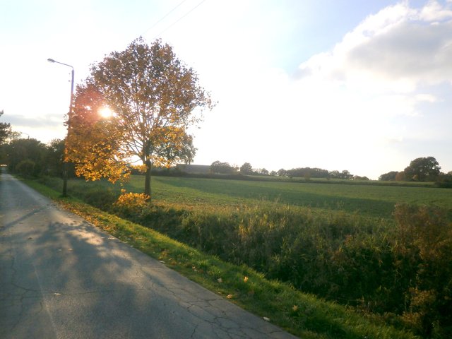 Kleine Feldstraße am Mühlenteich