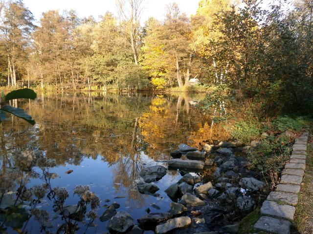Andere Perspektive zum Mühlenteich