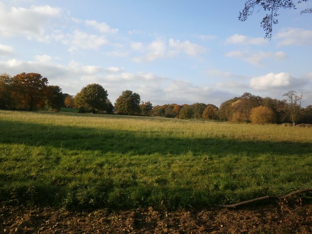 Weitblick gegenüber vom Mühlenteich in den Weseler Wald