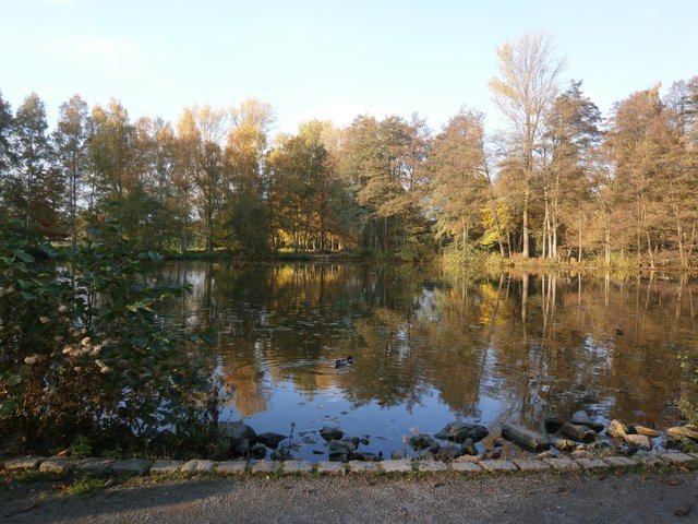 Unterer Mühlenteich