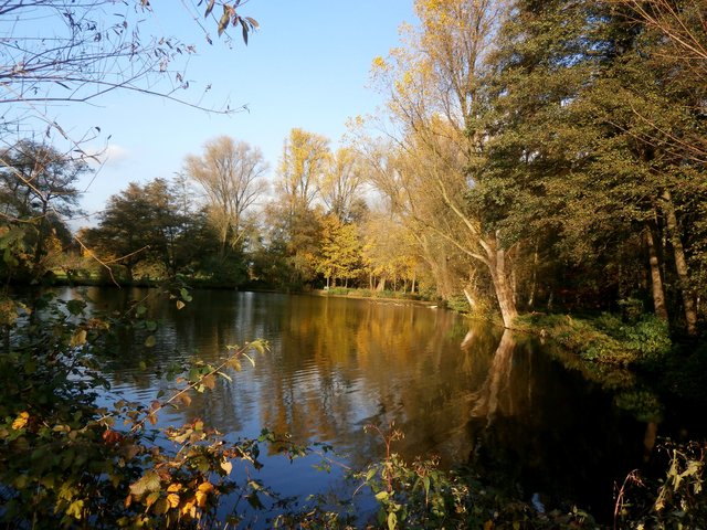 Anderer Blickwinkel zum Oberen Mühlenteich