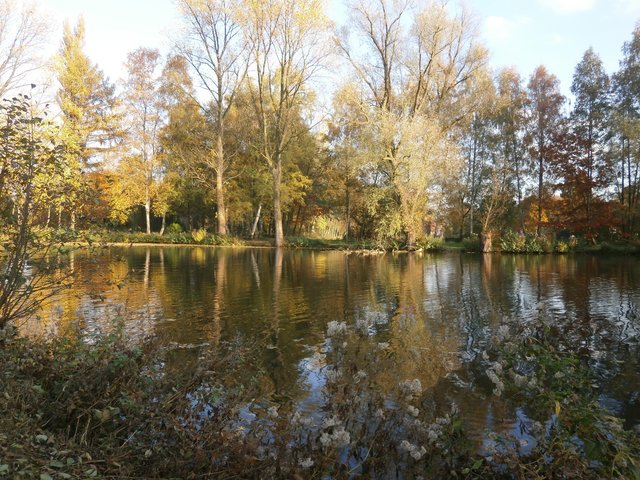 Unterer Mühlenteich, andere Perspektive