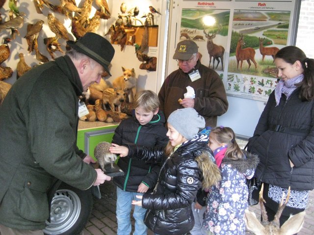 Die rollende Waldschule bringt den Kindern die heimische Tierwelt nahe.