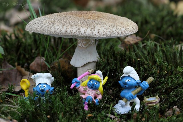 Eine beliebte Community aus Kinderzeiten: Schlumpfhausen.