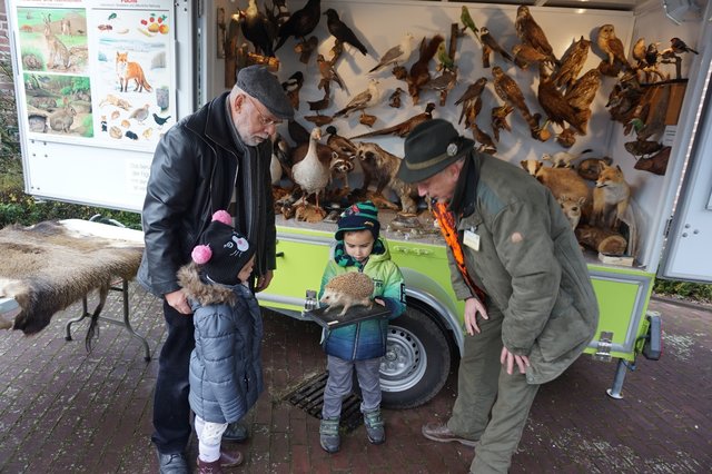 Philipp (5) schaut sich einen Igel an,  Johann Pütz (rechts) erklärt ihm das Tier.