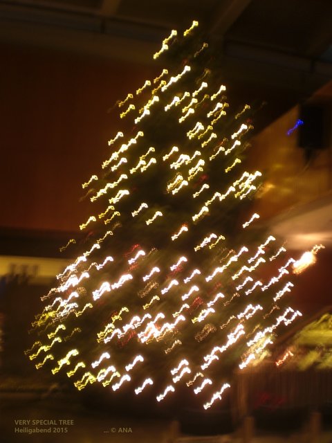 ...very special TREE, very special "geknippst" ... SMILE