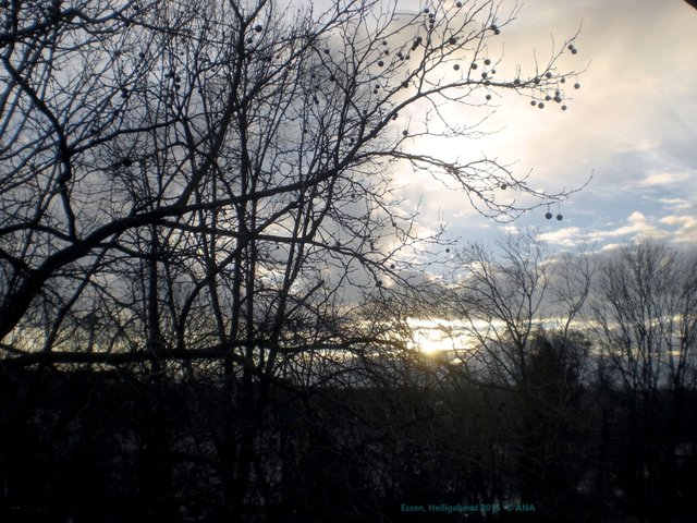 ...wenn es heute trocken bleibt, wäre ja schön ... 24.12.15