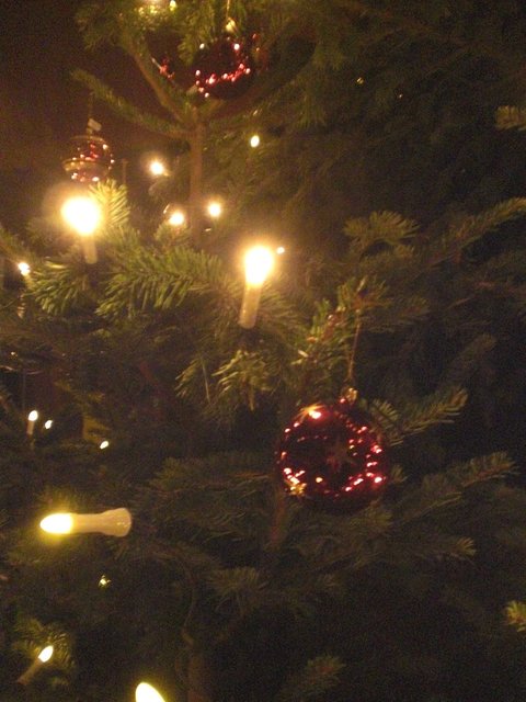 dicke rote Christbaum-Kugeln glitzern ...
