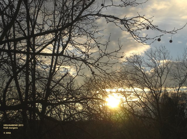 ...der Morgen des HEILIGEN Abends 2015