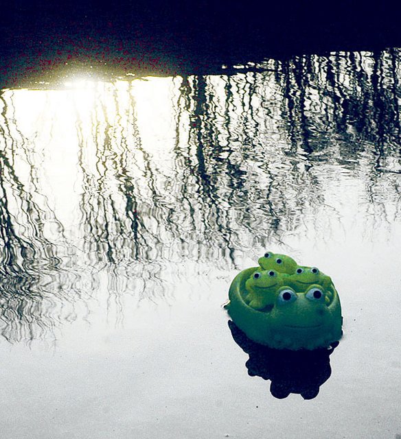 Nein, das ist kein Foto von „Nessie“ samt Nachwuchs. Aber für „Quietschetierchen“ ist die Riesenpfütze an der Mottbruchhalde ein wahres Paradies.
