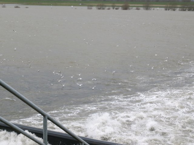 Emschermündung in den Rhein, siehe Überflutung!