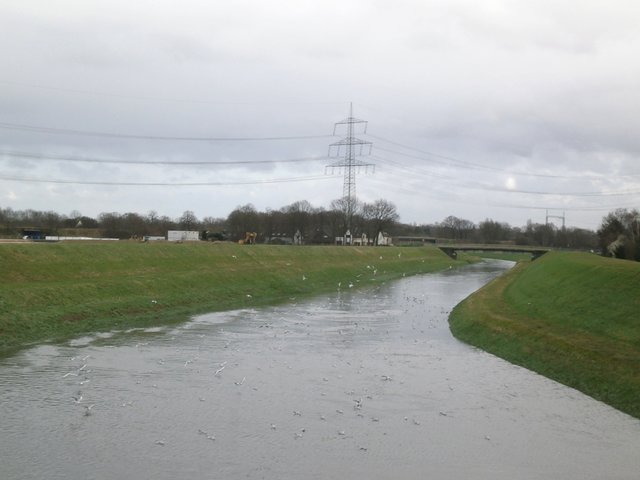 Möwen auf der Emscher und in der Luft.