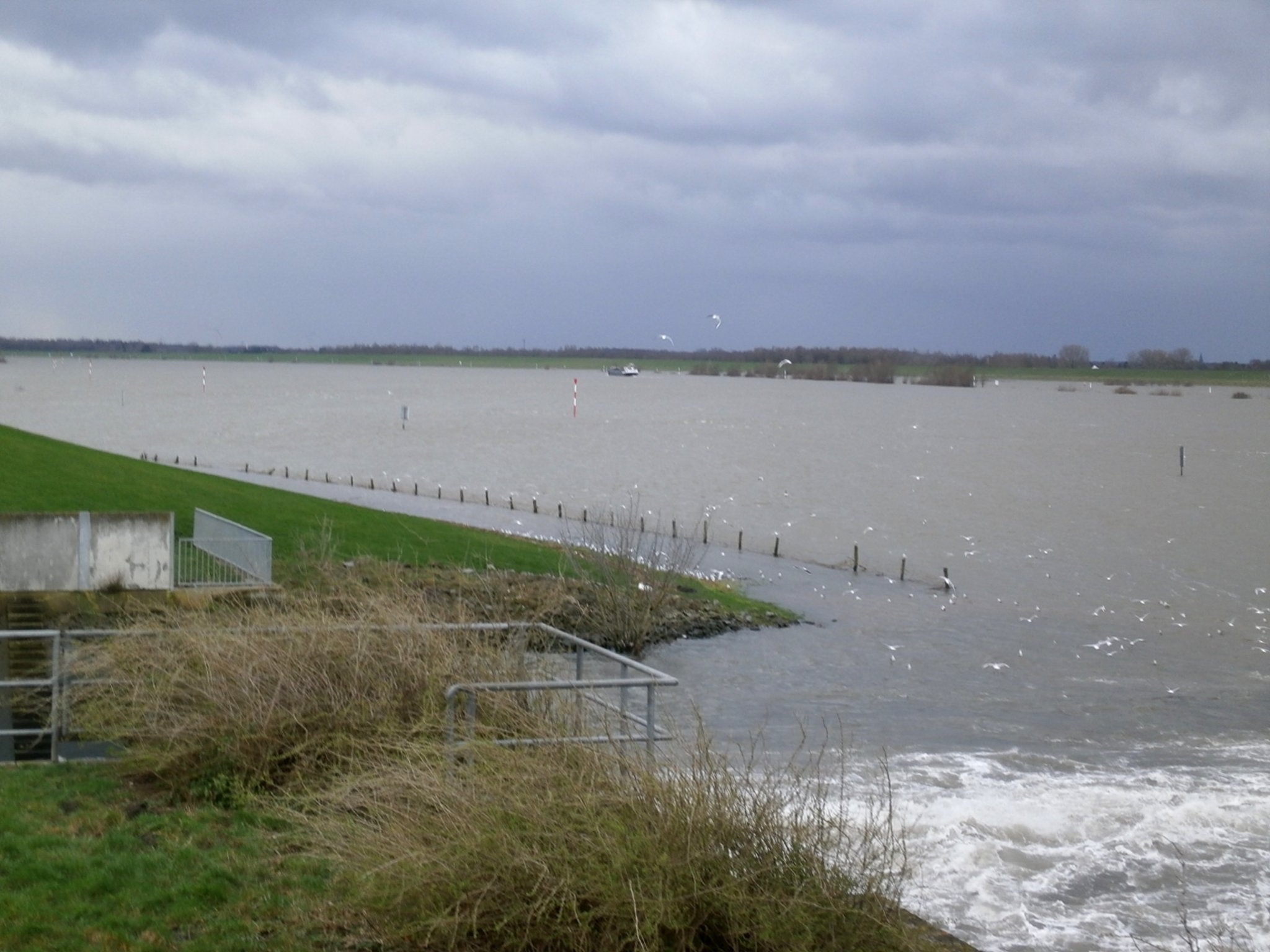 Wo die Emscher in den Rhein mündet... und Hochwasser! Schermbeck