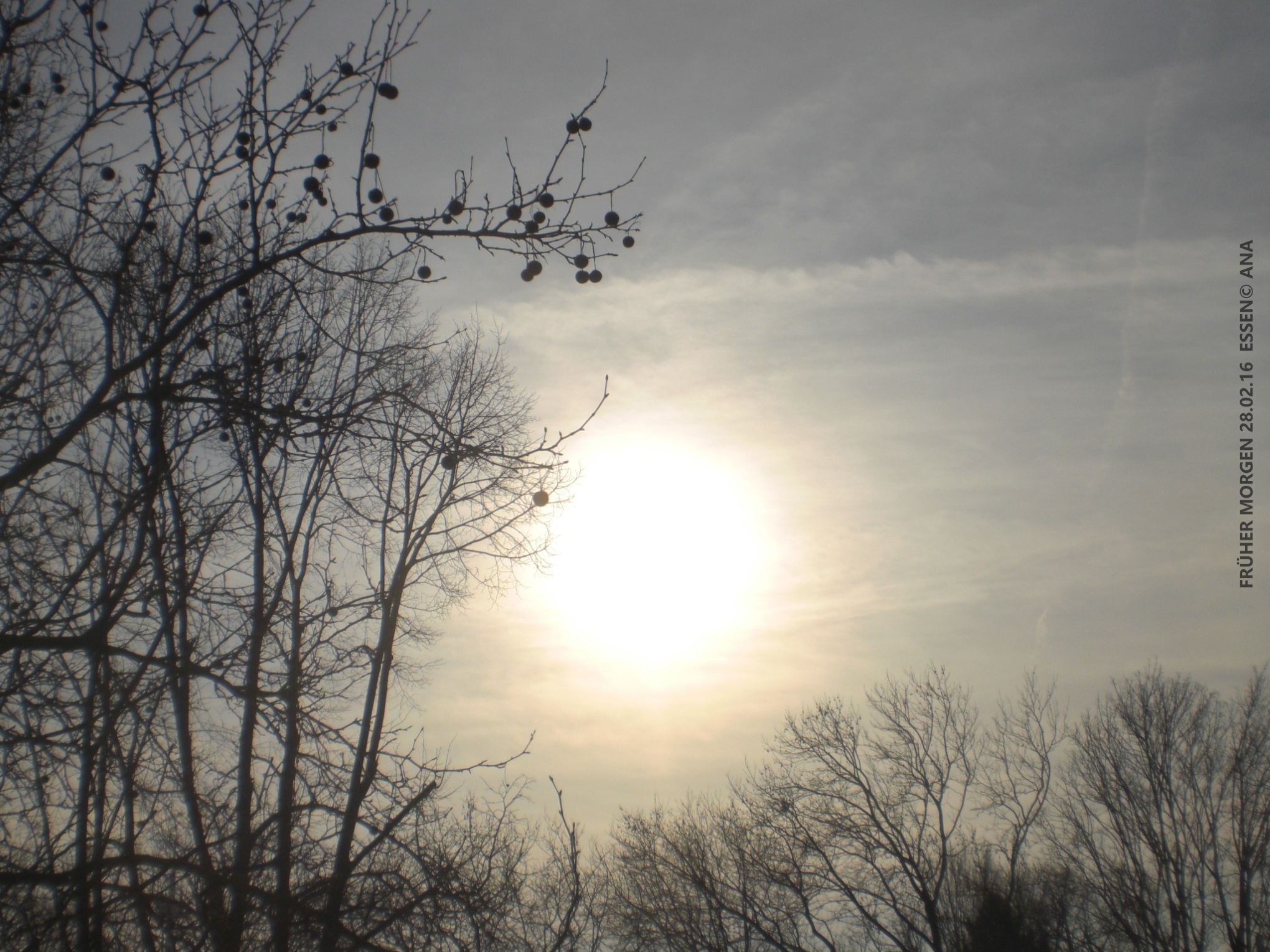 ...es ist noch KEINE 9 Uhr morgens an diesem 28.Februar 2016...und die SONNE lacht mir schon entgegen!