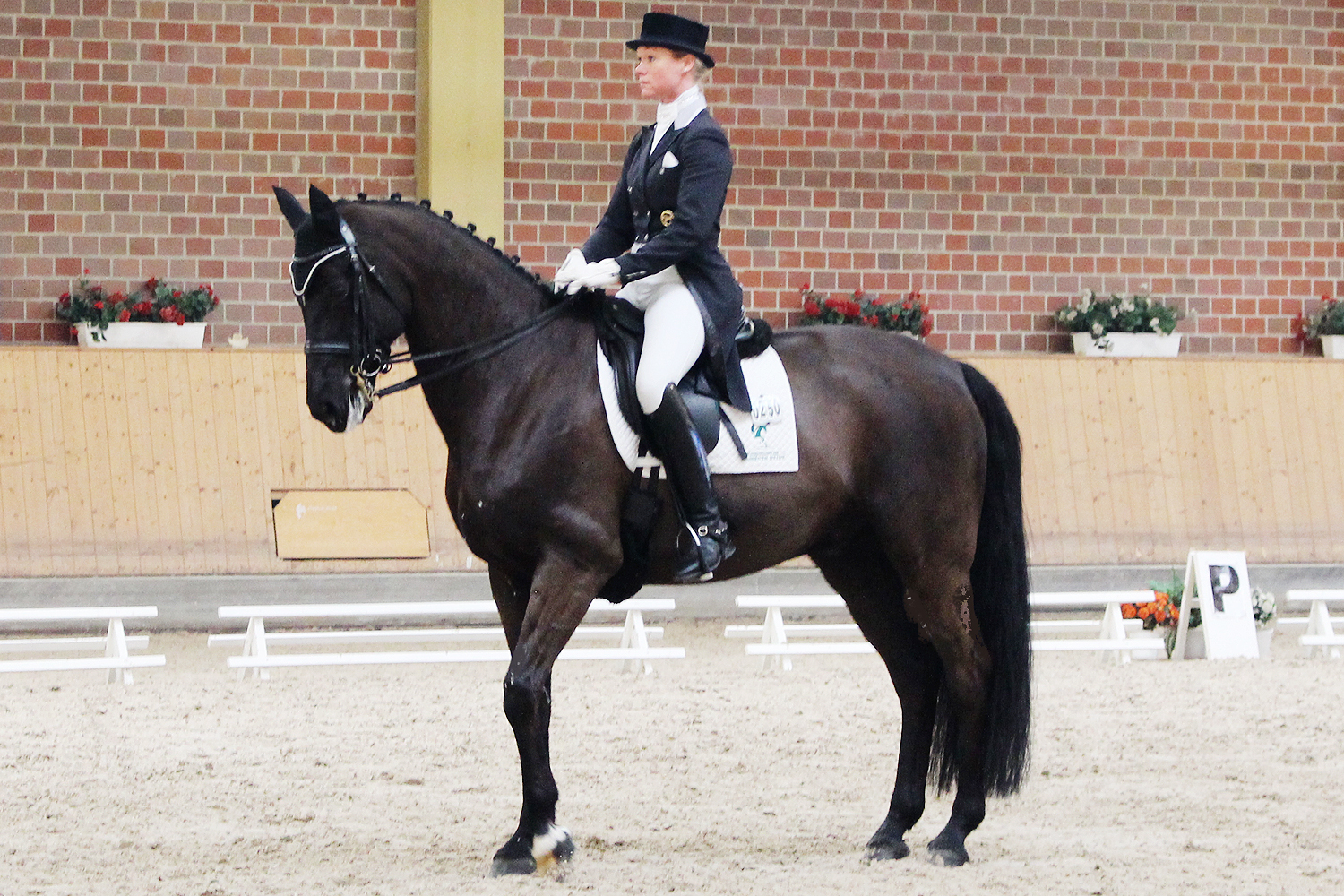 Marion Wiebusch vom RFV Massener Heide e.V.