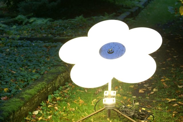 Übergroße Blumen setzen wohltuende frühlingshafte Lichtakzente beim Parkleuchten.