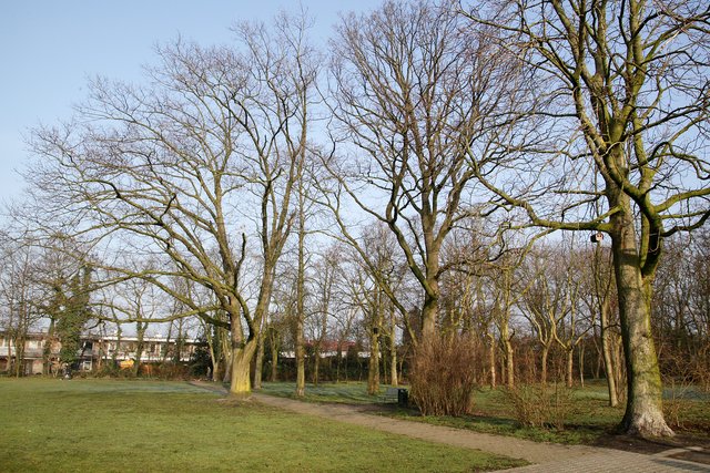 Der Heideblümchen-Park liegt zwischen Alstedder Straße, Landwehr und Lauenburger Straße im Herzen Alsteddes.