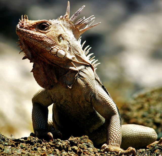 Foto: Hans-Werner Wienand