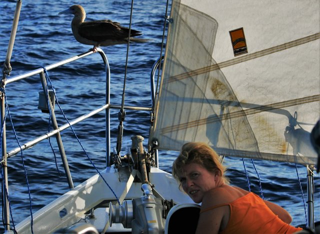 Foto: Hans-Werner Wienand