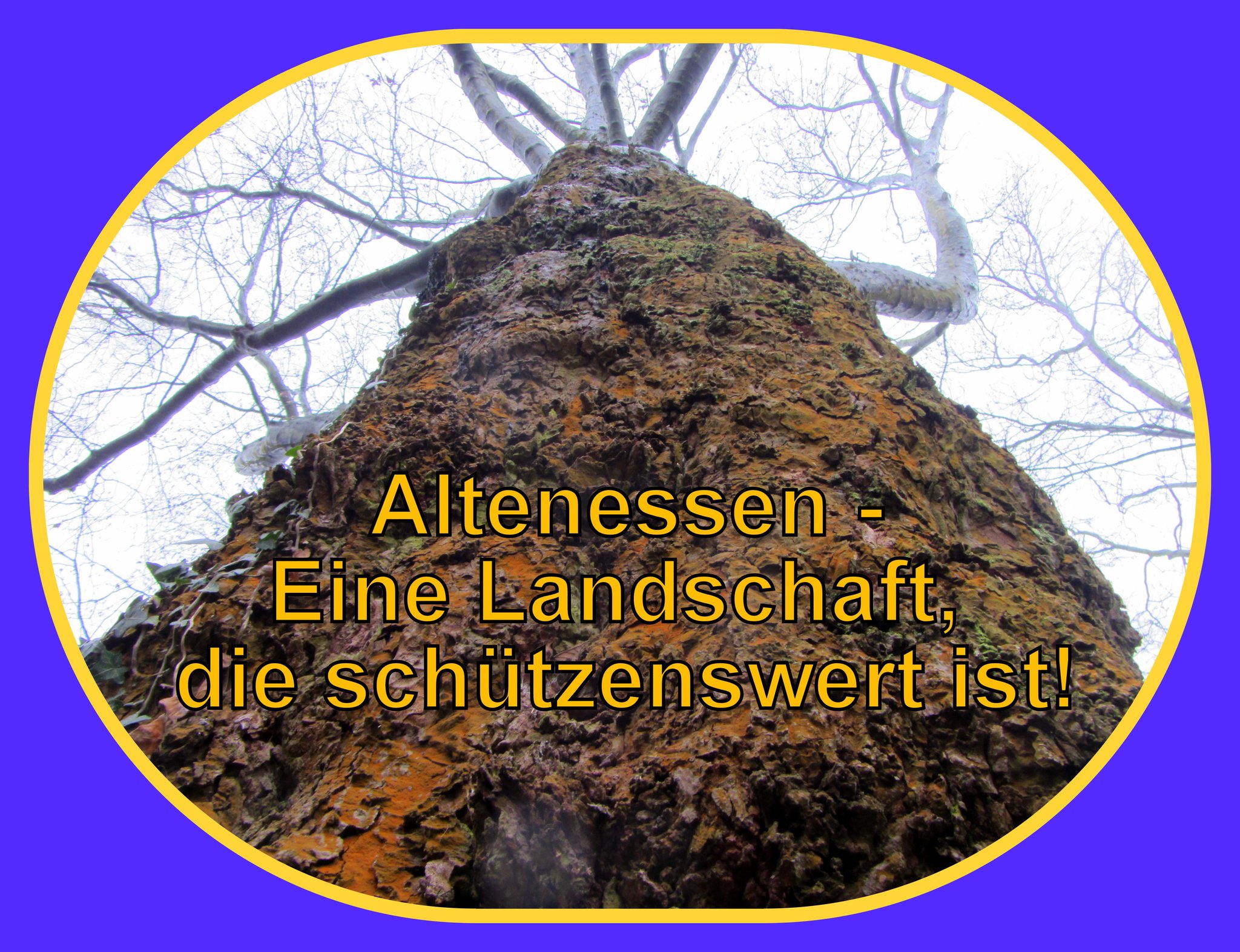 Altenessen - Nur Asylstandorte oder Wohnraum für alle? - Essen-Nord