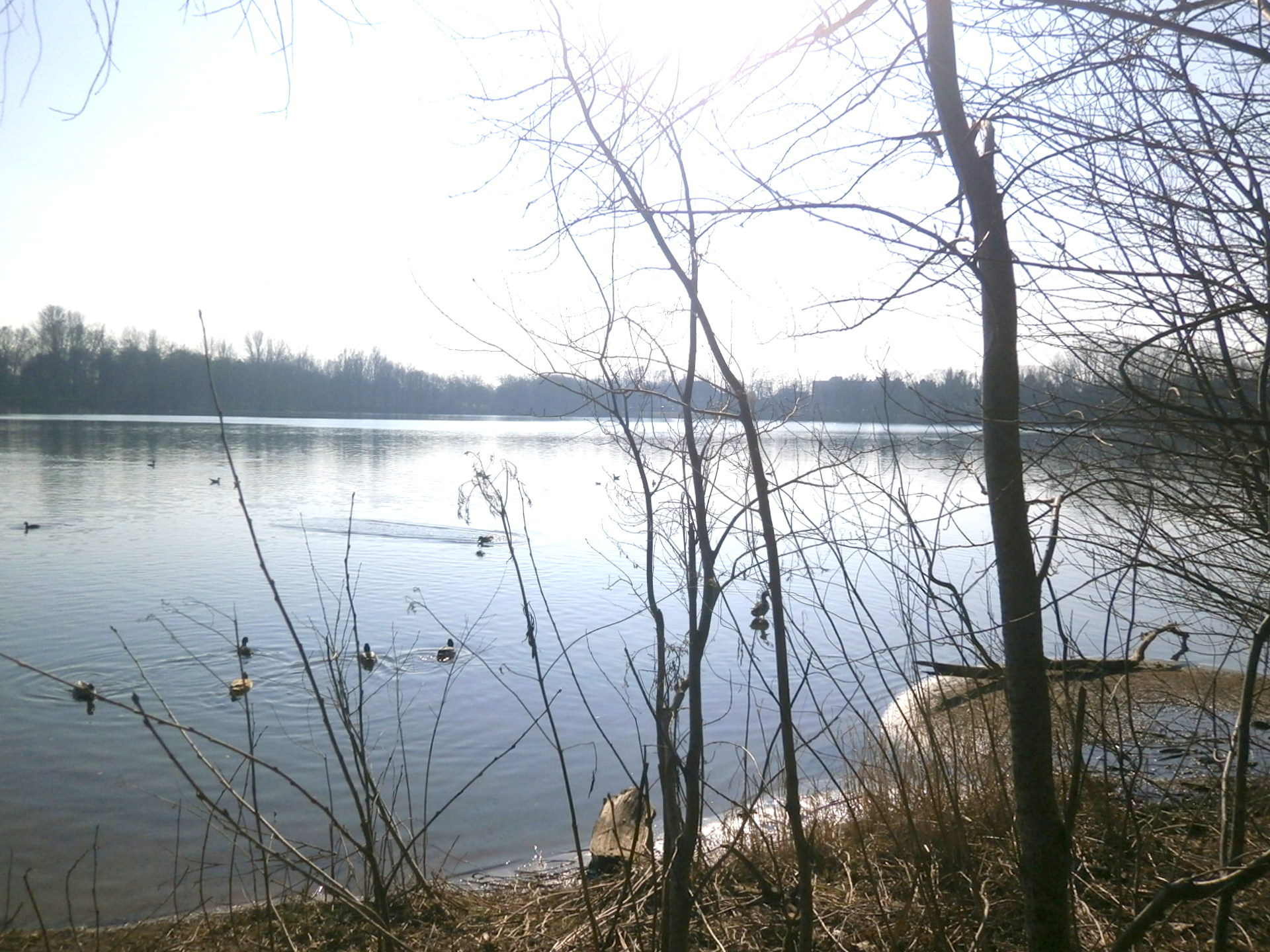 Blauer See und Natur-Impressionen