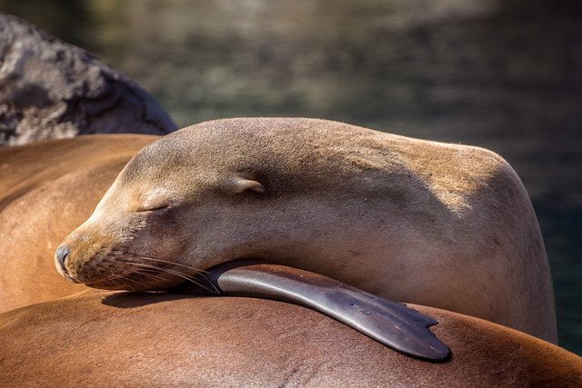 Zufriedener geht's ja wohl nicht   :-))