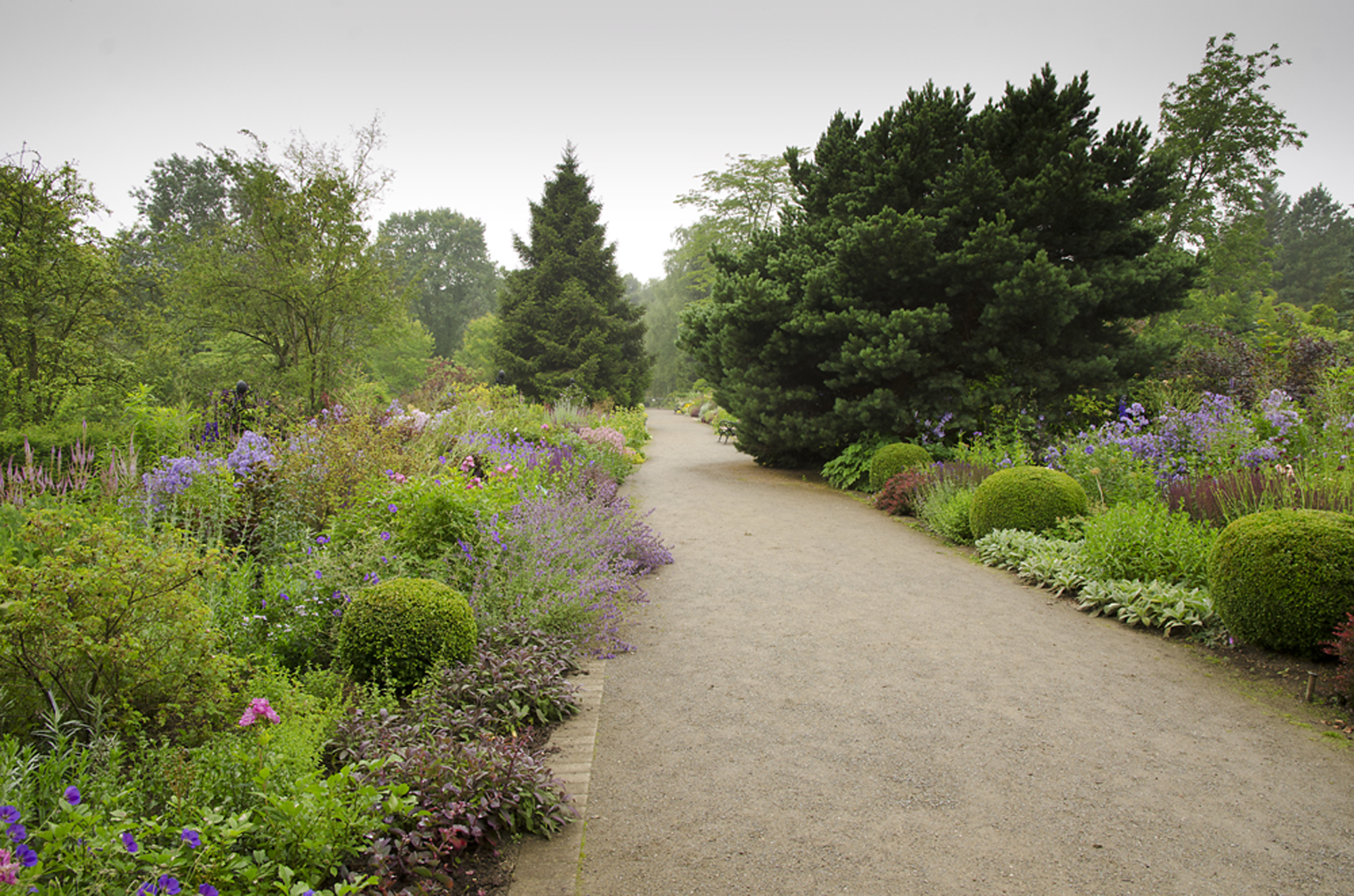 Unser großes Staudenbeet im Botanischen Garten Rombergpark