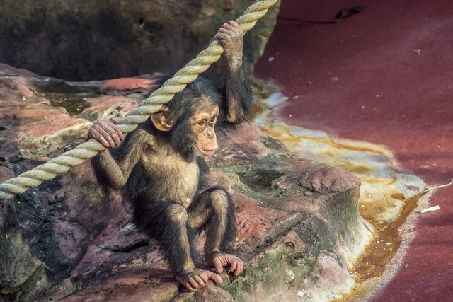 Einfach mal ein bisschen abhängen  :-)