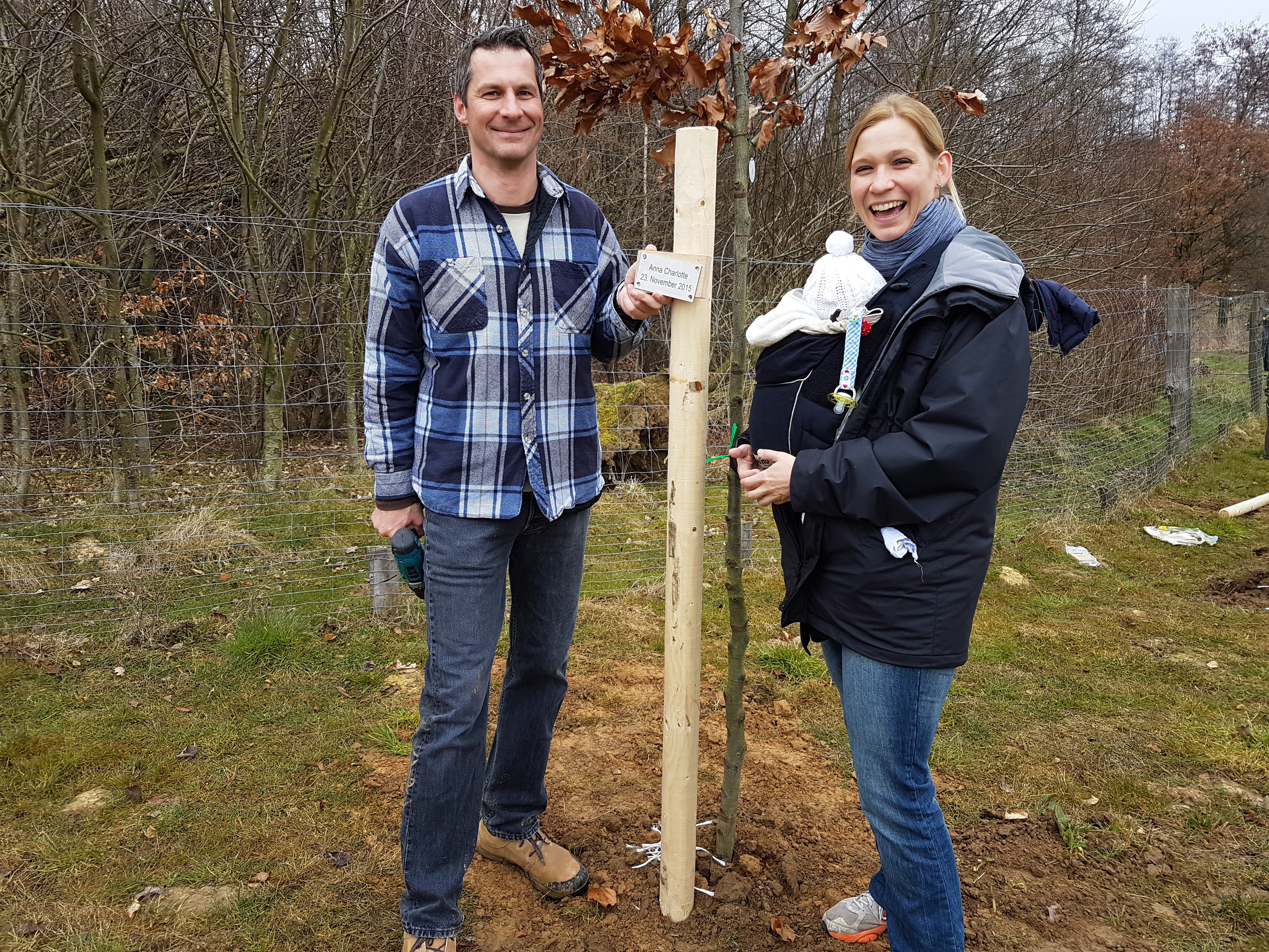 An den Geburtstag (23.11.2015) der kleinen Anna-Charlotte erinnert der zweite Baum der Familie Krisch. Foto: Gorges