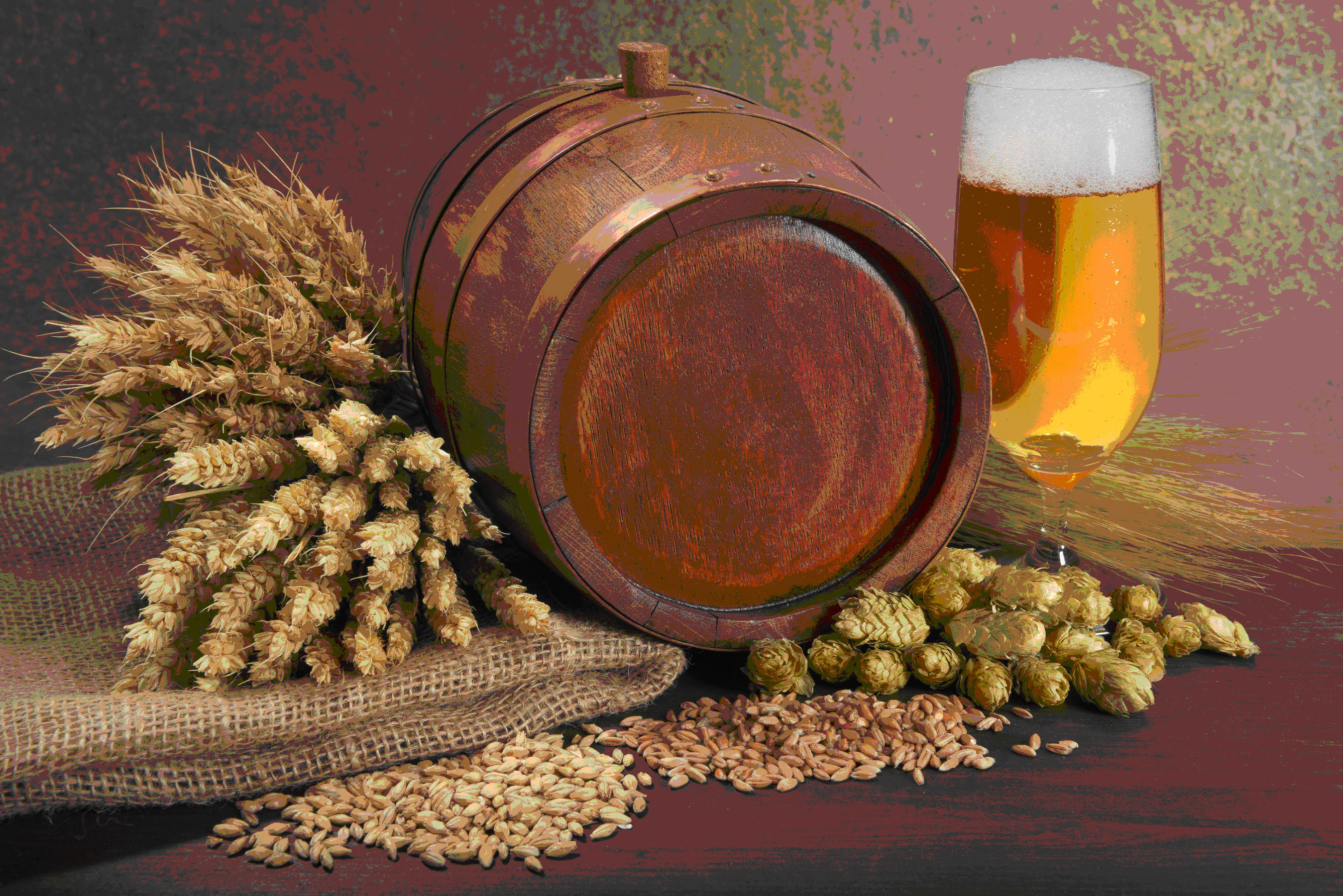 Das Reinheitsgebot: „Allain Gersten Hopfen unn Wasser genommen unn gepraucht sölle werdn…“