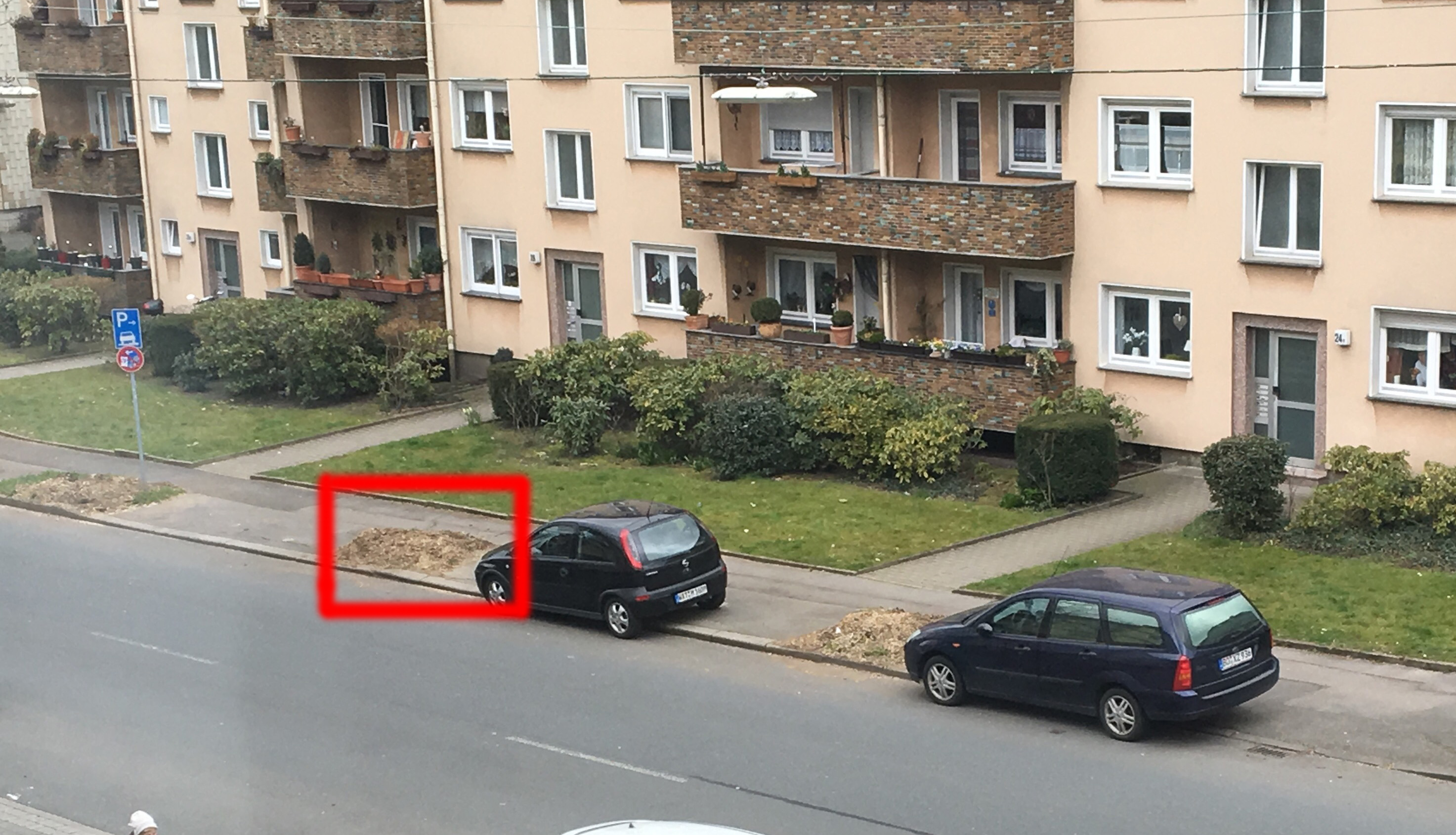 Die Anwohner der Marienstraße bedauern die Fällmaßnahmen, da die Kastanien maßgeblich zu einem schöneren Straßenbild beigetragen haben.