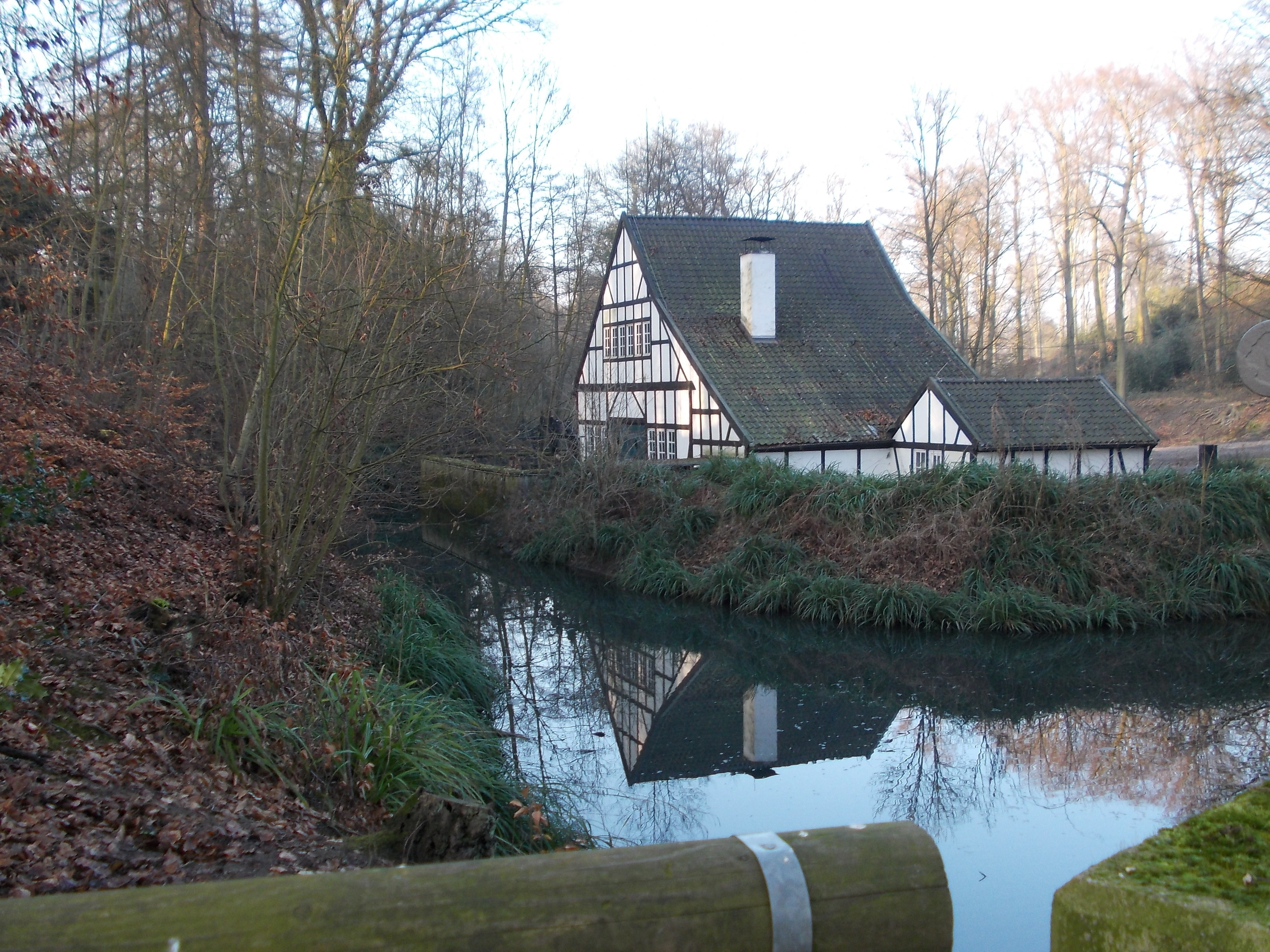 Rund um den Teich am Halbachhammer auf der Margarethenhöhe beginnt die Emschergenossenschaft nun mit der Renaturierung.