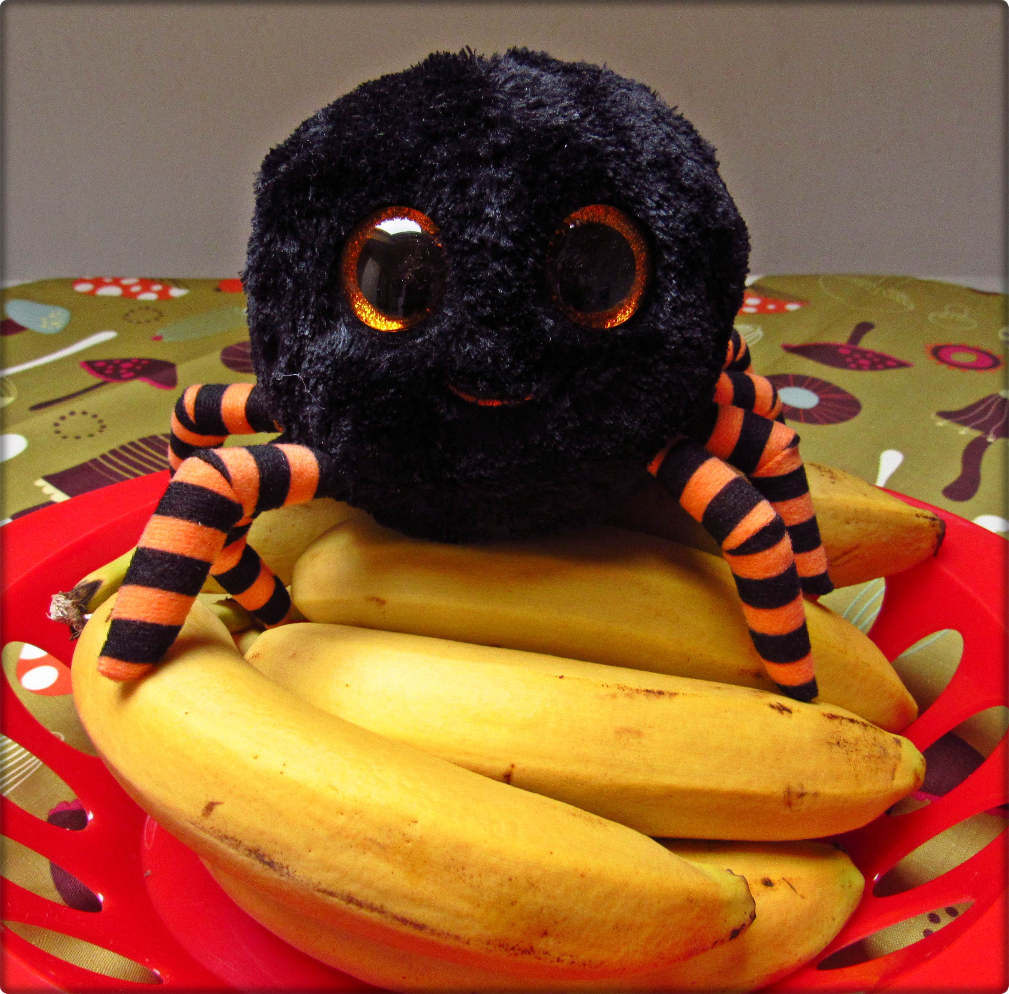Dieses Exemplar hatte es zum Glück nur auf unsere Bananen abgesehen. ;-)