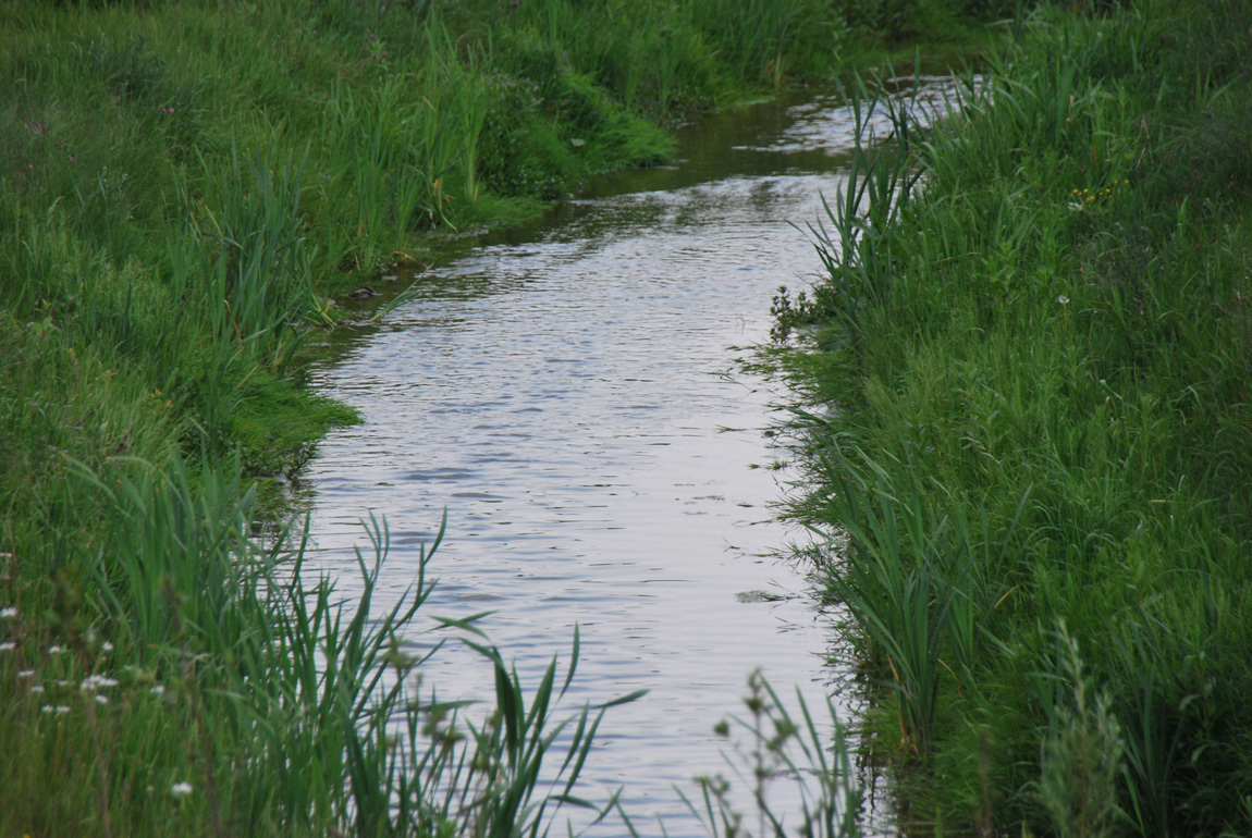 Renaturierte Flusslandschaft. (Foto: Emschergenossenschaft/Ilias Abawi)