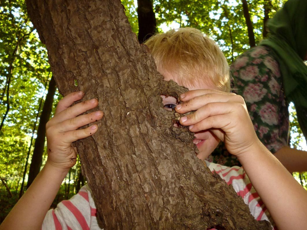 Spiele im Wald - Querwaldein möchte Kindern und erwachsenen die Natur näher bringen.