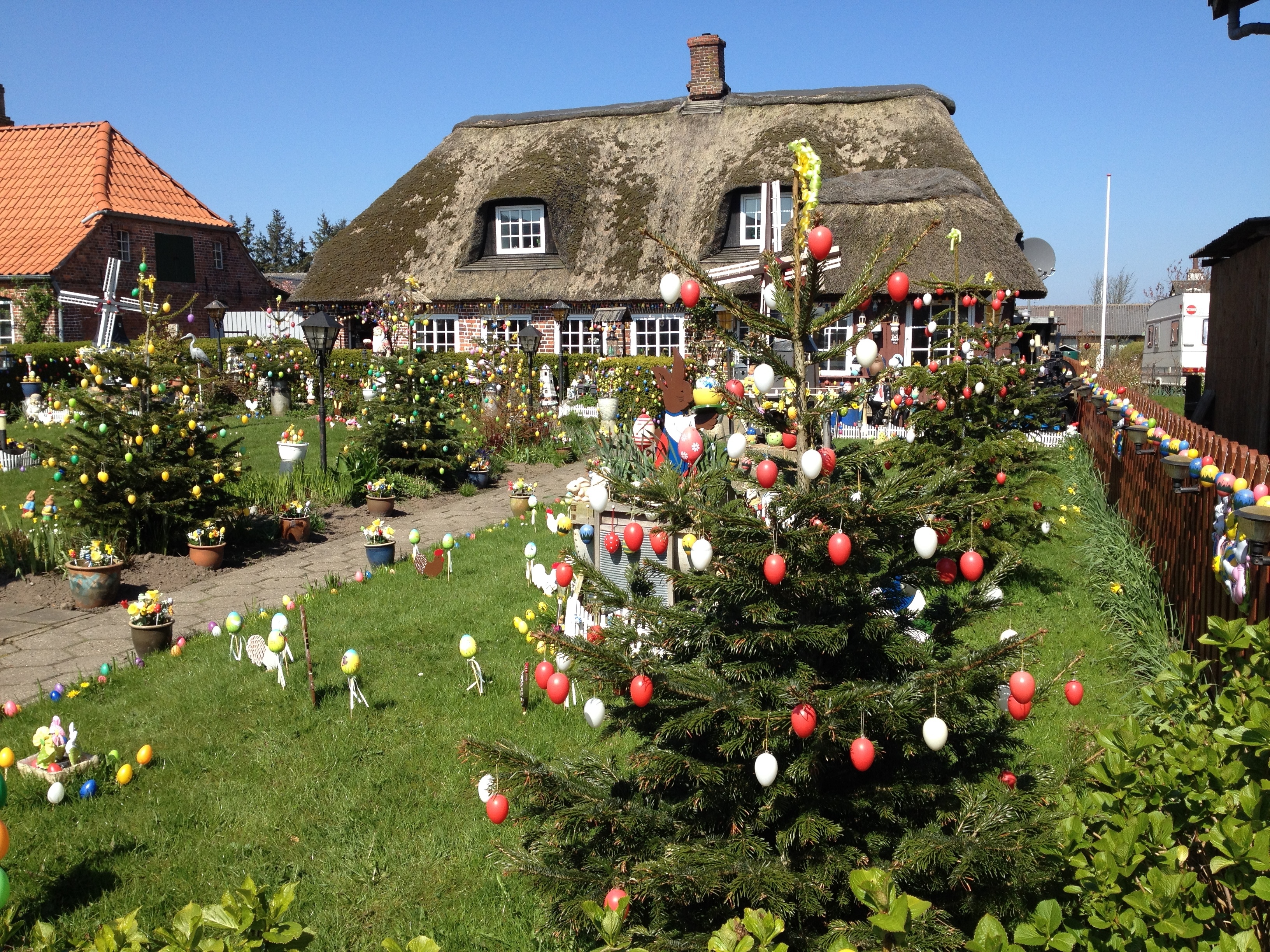 Der Weihnachtsbaum feiert Karneval