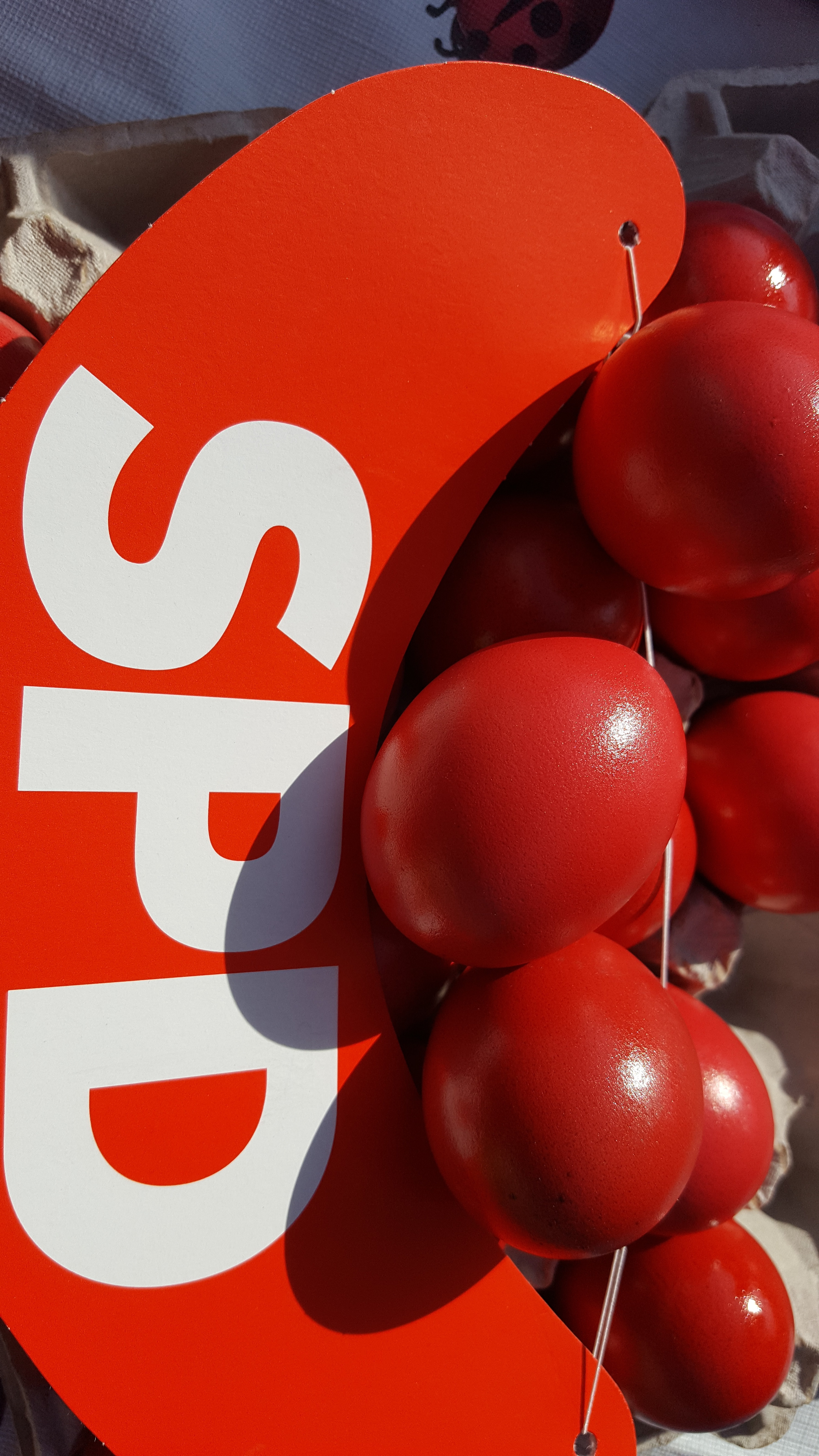 Vom Frohnhauser Markt "Rote Eier mit Schirm" am Dialogstand der SPD am Frohnhauser Markt und am Gervinusplatz