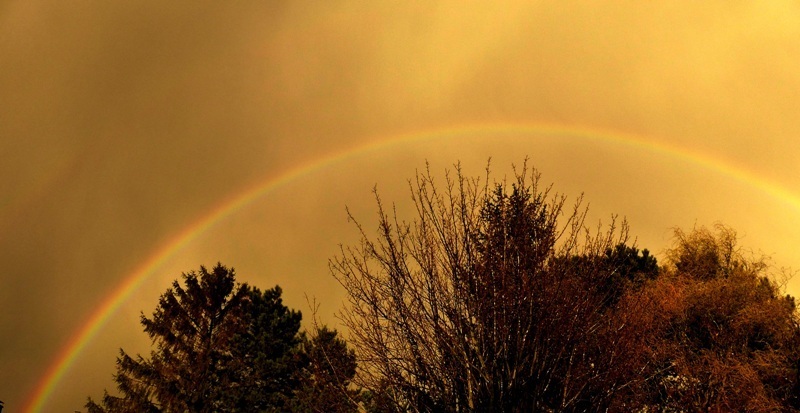Regenbogen über Mülheim / Foto von Angelika Stephan // Copyright Angelika Stephan