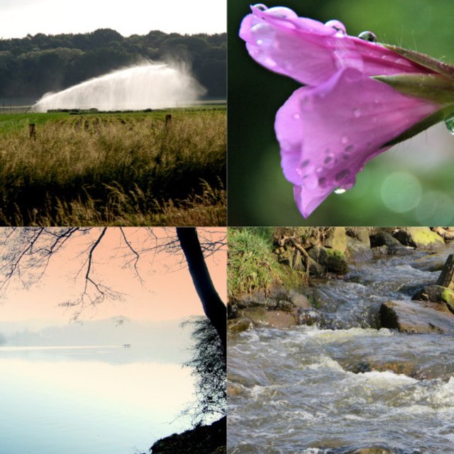 Hintergrund zum Element Wasser sind die Wassergeister als Elementarwesen, die in der Nähe von Quellen, Flüssen, Seen oder des Meeres leben. Fotos (von links) oben: Dirk Bohlen und Norbert Rittmann, unten von Peter Waniek und Andrea Weyand. Fotos: Lokalkompass