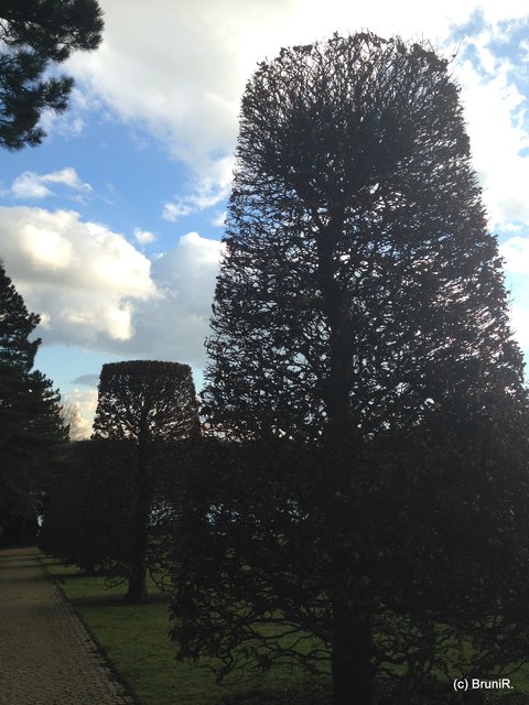 Ein Teil der Anlage dort! Wer schon mal da war, wird es an den Bäumen erkennen!