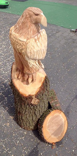 Einde der Holzstatuen könnte Ihnen gehören - wie lesen Sie in Ihrem Kurier.