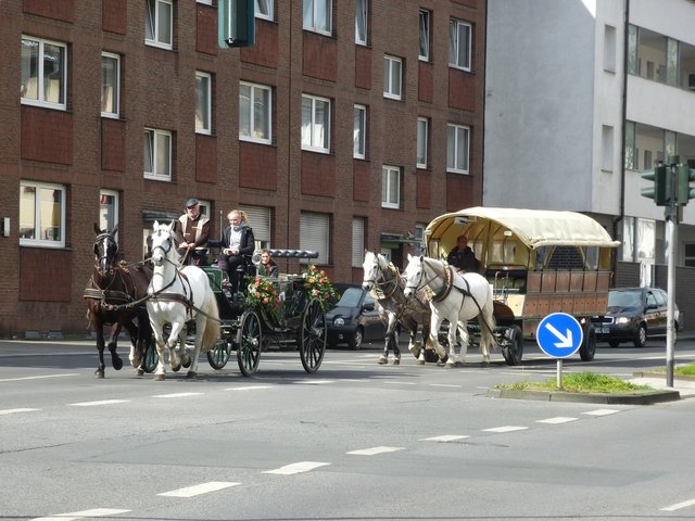 die Kutschenfahrten durch die Innenstadt