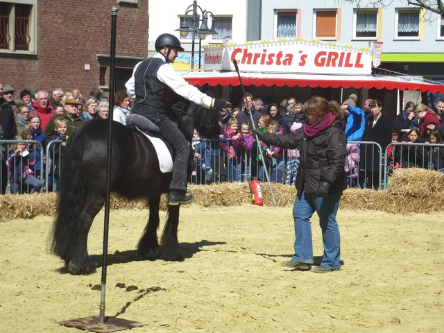 hier wurde eindrucksvoll gezeigt, wie die Pferde Angst vor dem Feuer verlieren